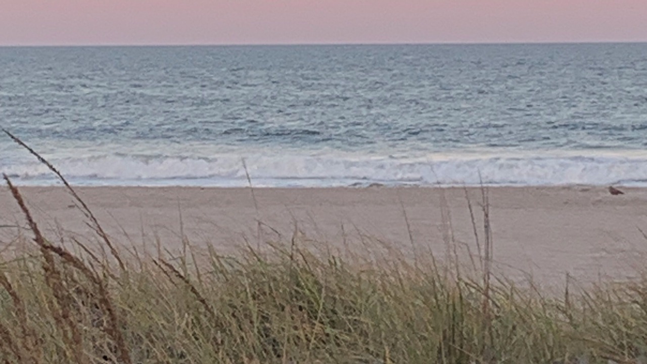 Photo of Others in Ortley Beach