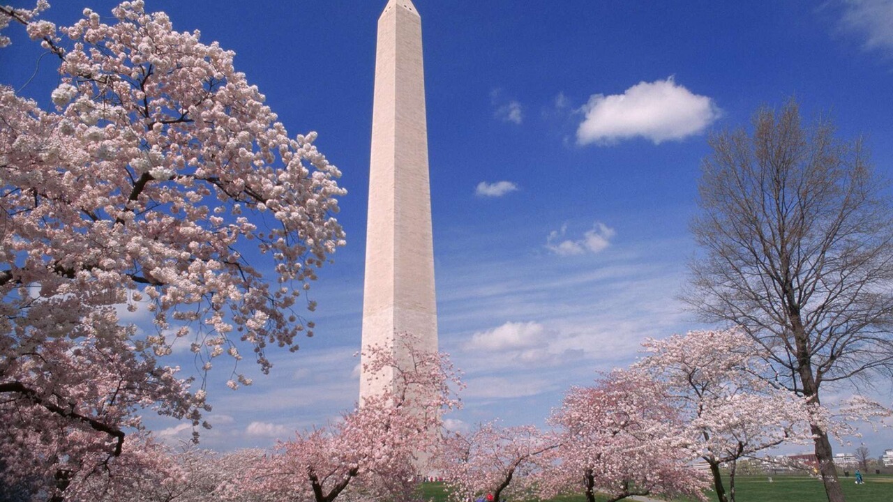 Photo of Outdoor in Rosslyn