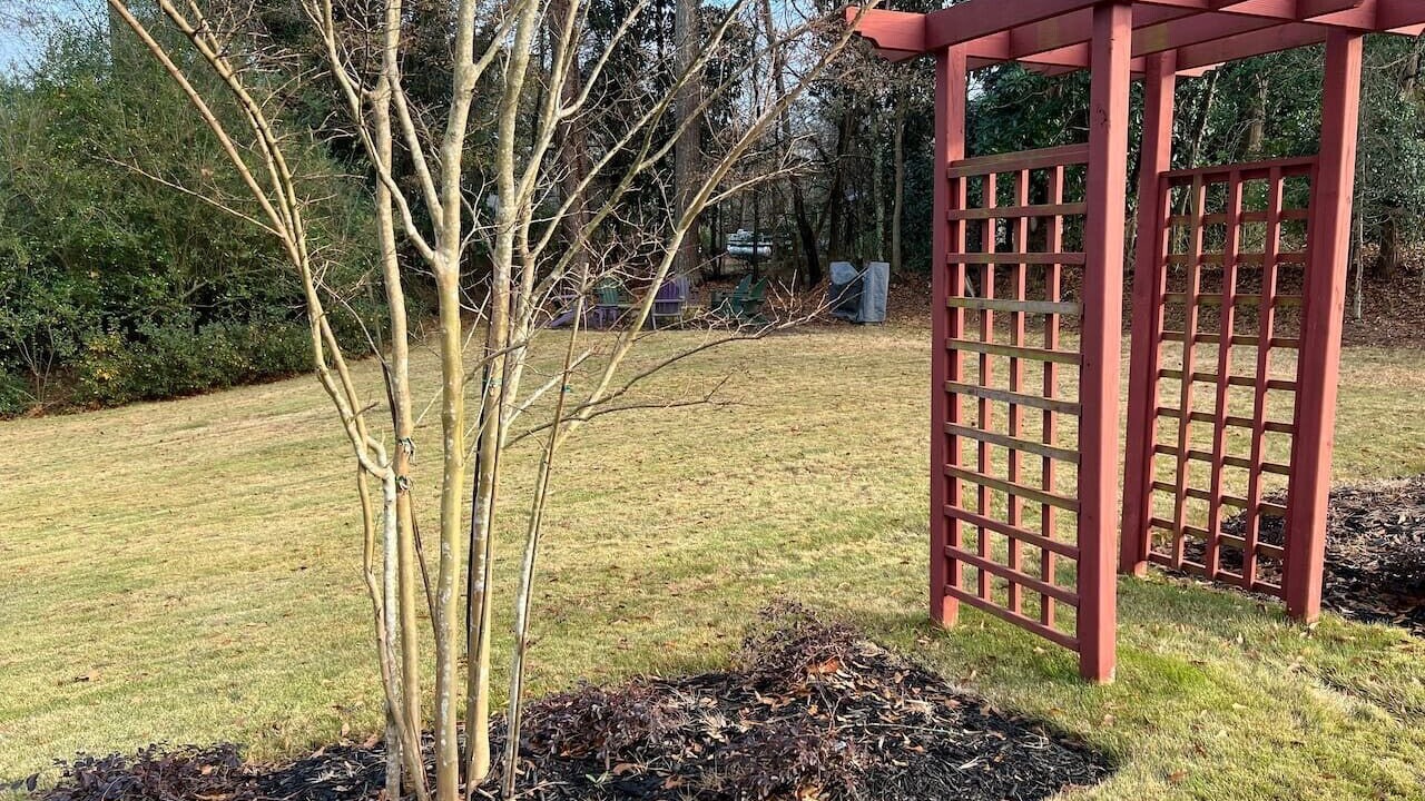 Photo of Outdoor in Woodstock