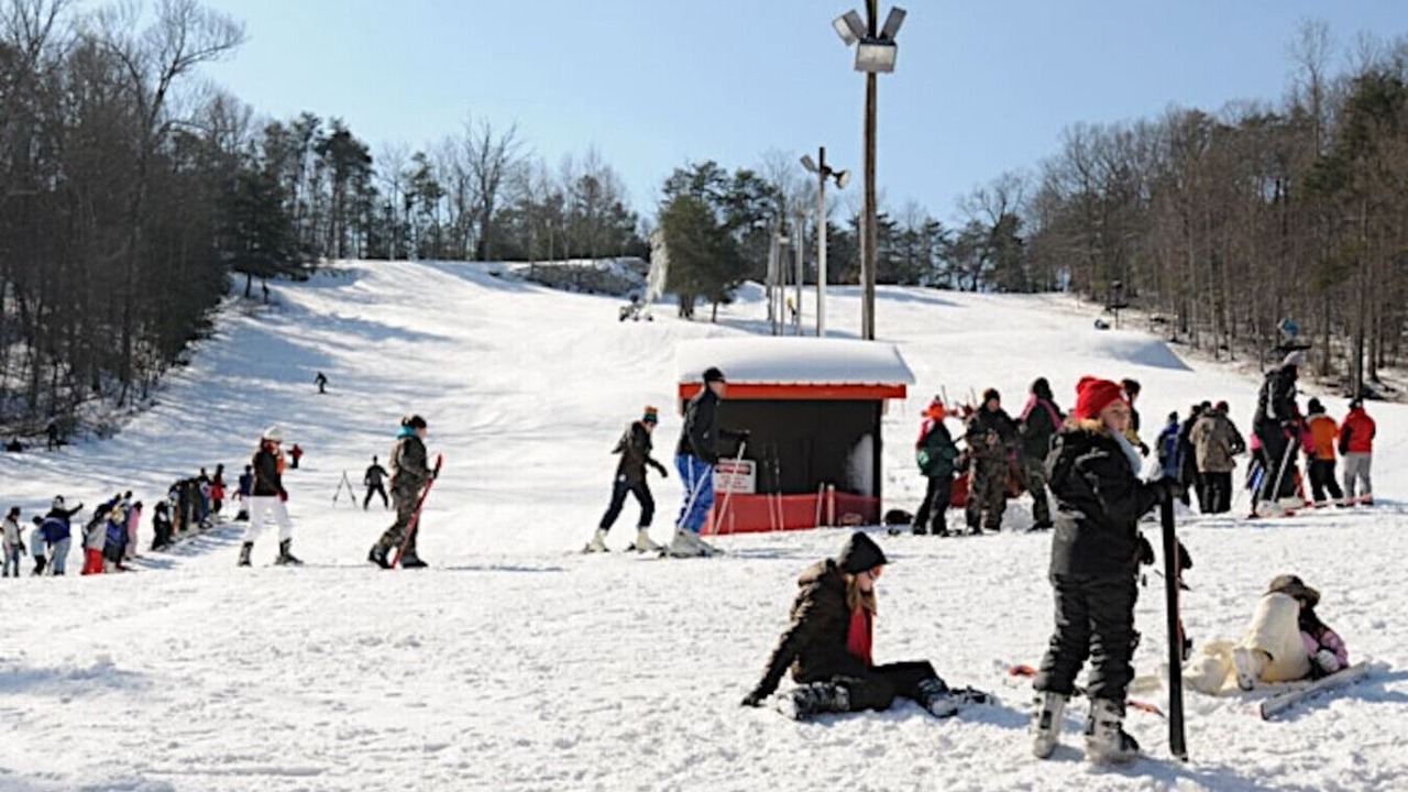 Photo of Others in Mentone