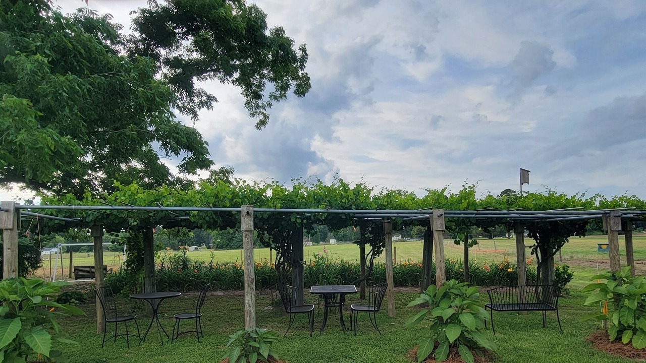 Photo of Outdoor in Whiteville