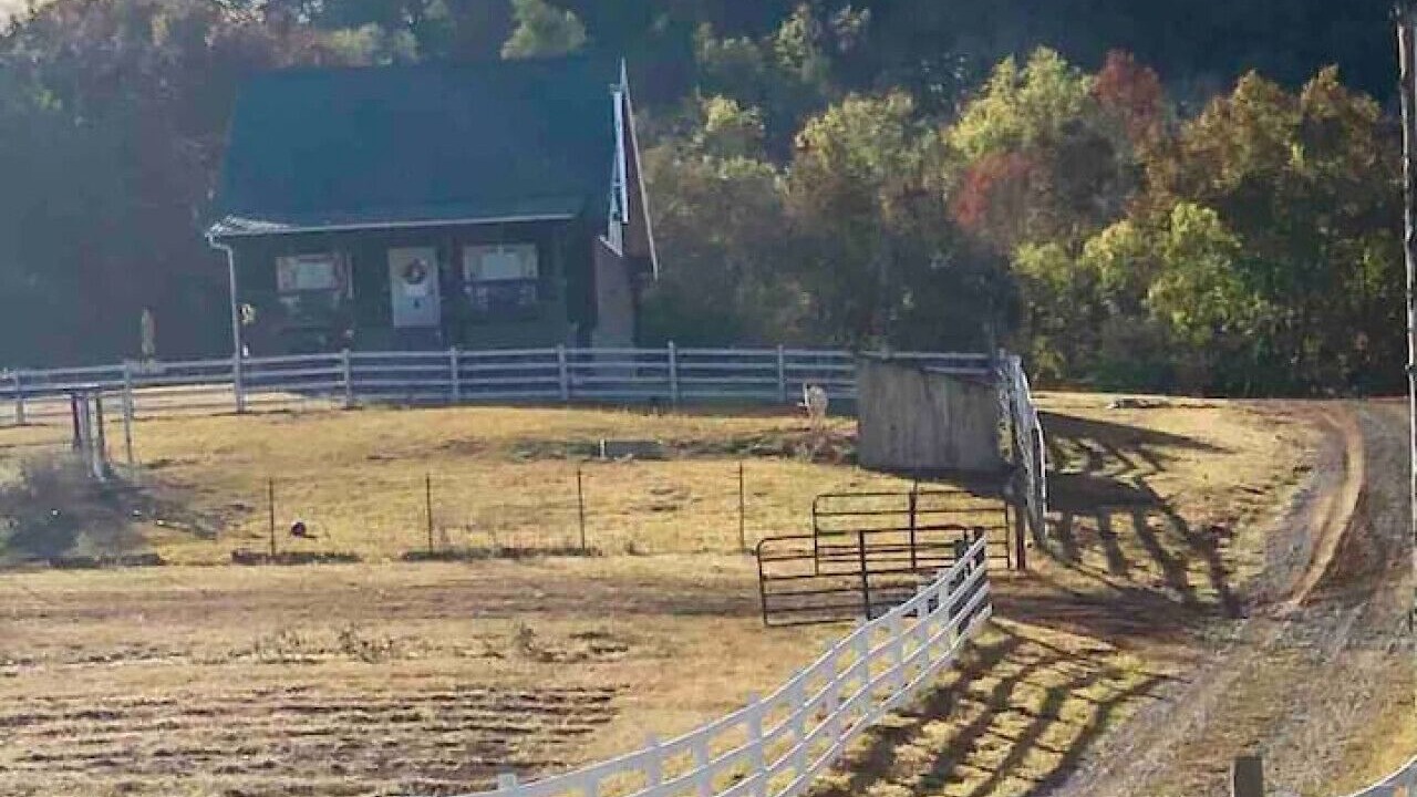 Photo of Others in Madisonville