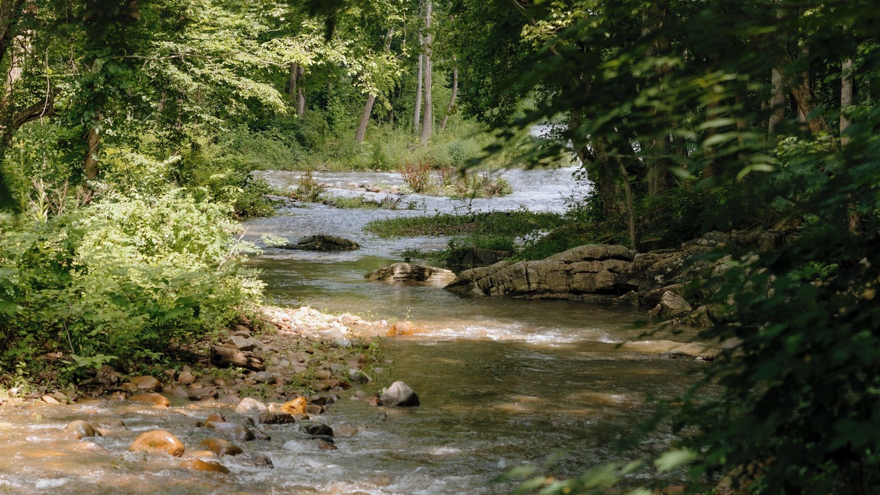 Photo of Others in Elizabethton