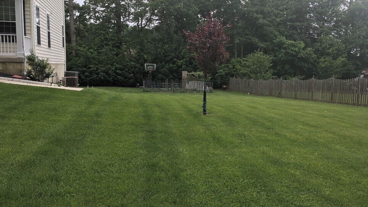 Photo of Outdoor in Ellicott City
