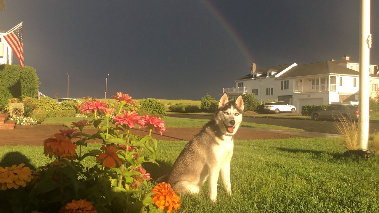 Photo of Outdoor in Spring Lake