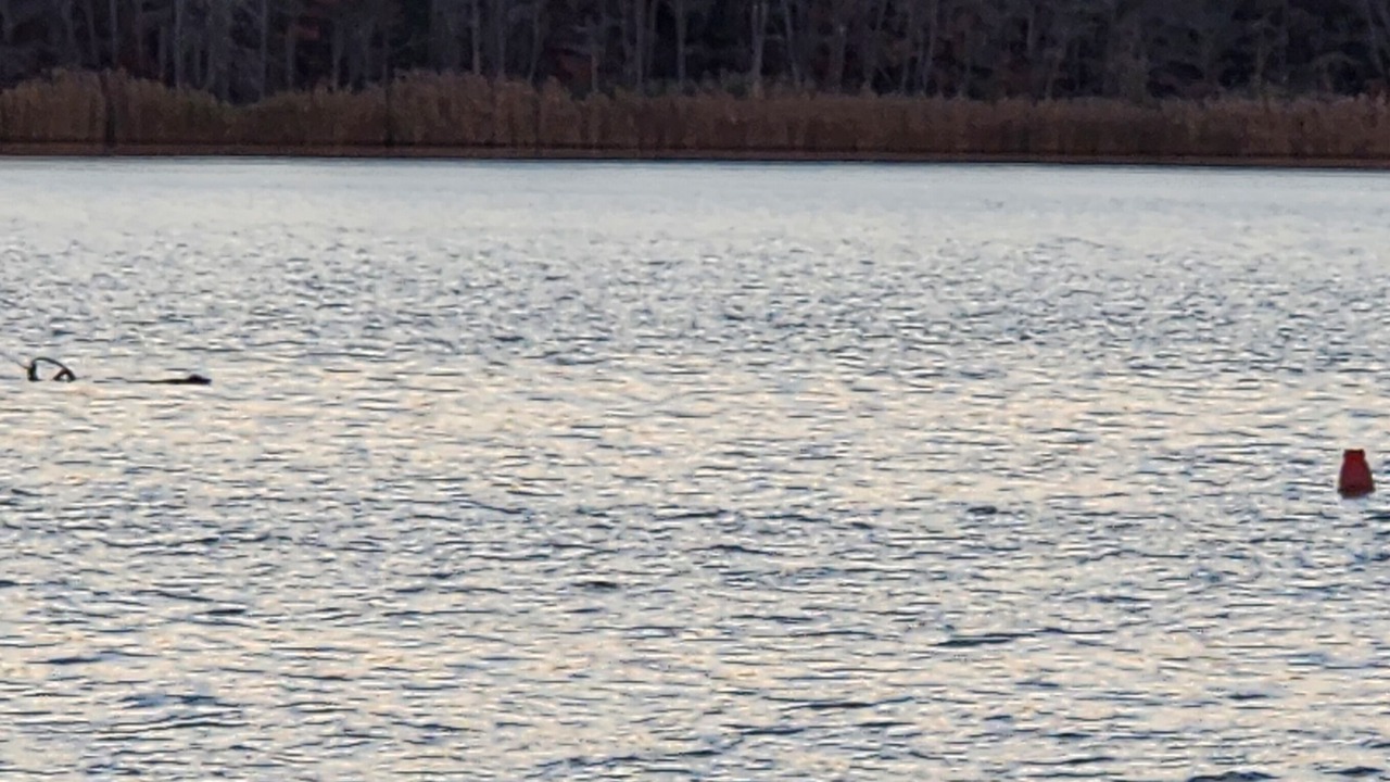 Photo of Others in Elkton