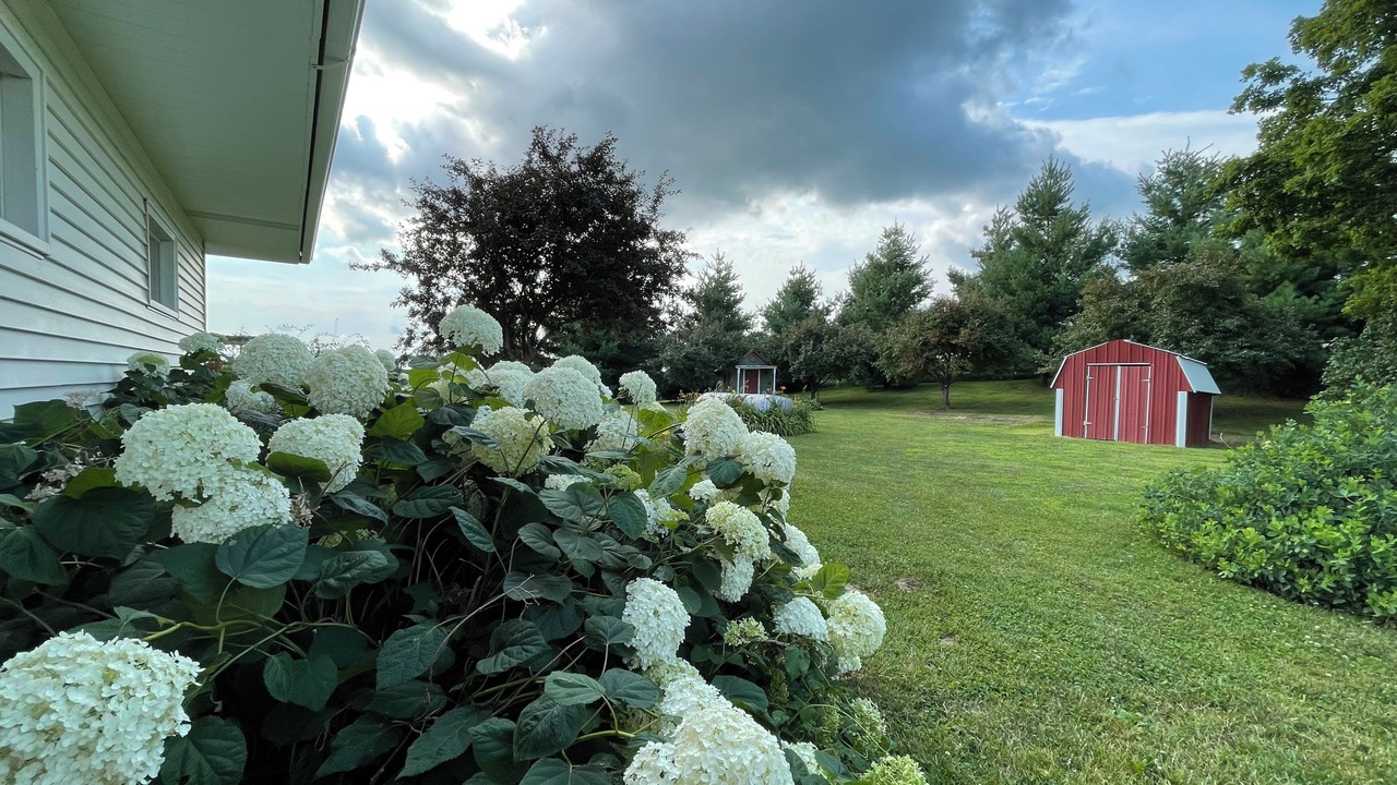 Photo of Outdoor in Cass County