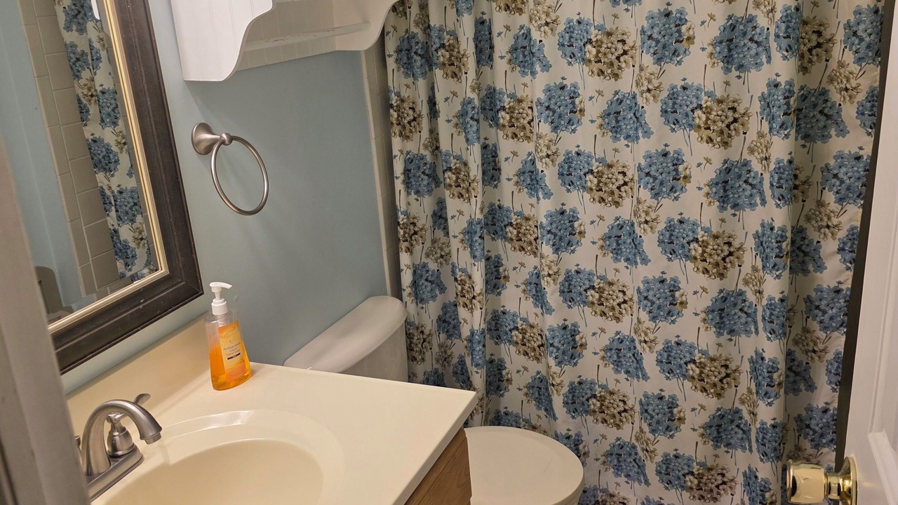 Photo of Bathroom in Ortley Beach