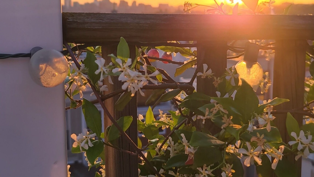 Photo of Outdoor in Canton