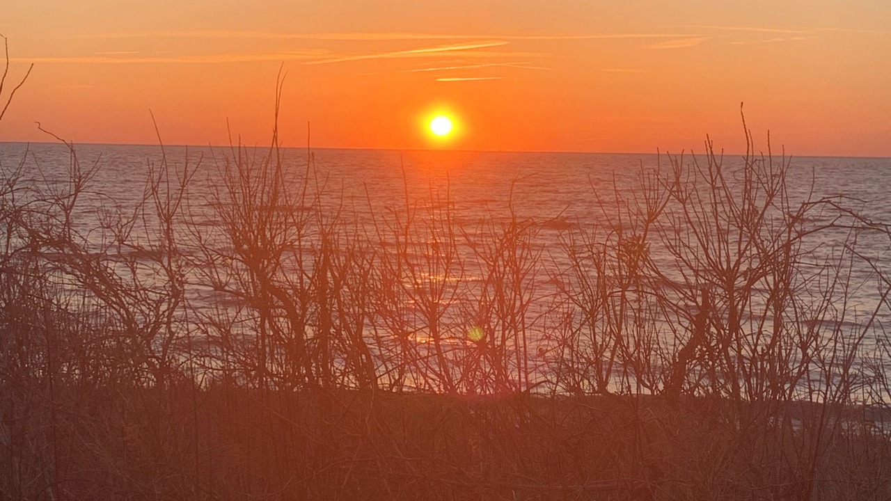 Photo of Others in North Cape May