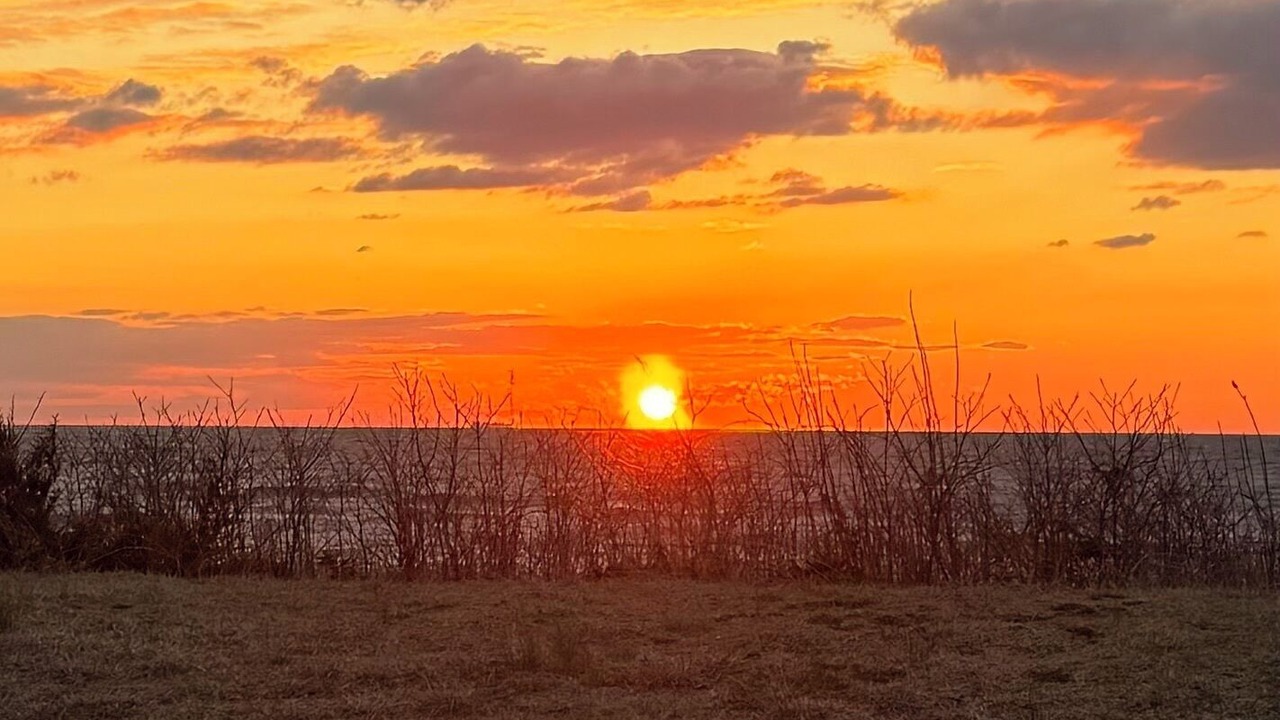 Photo of Others in North Cape May