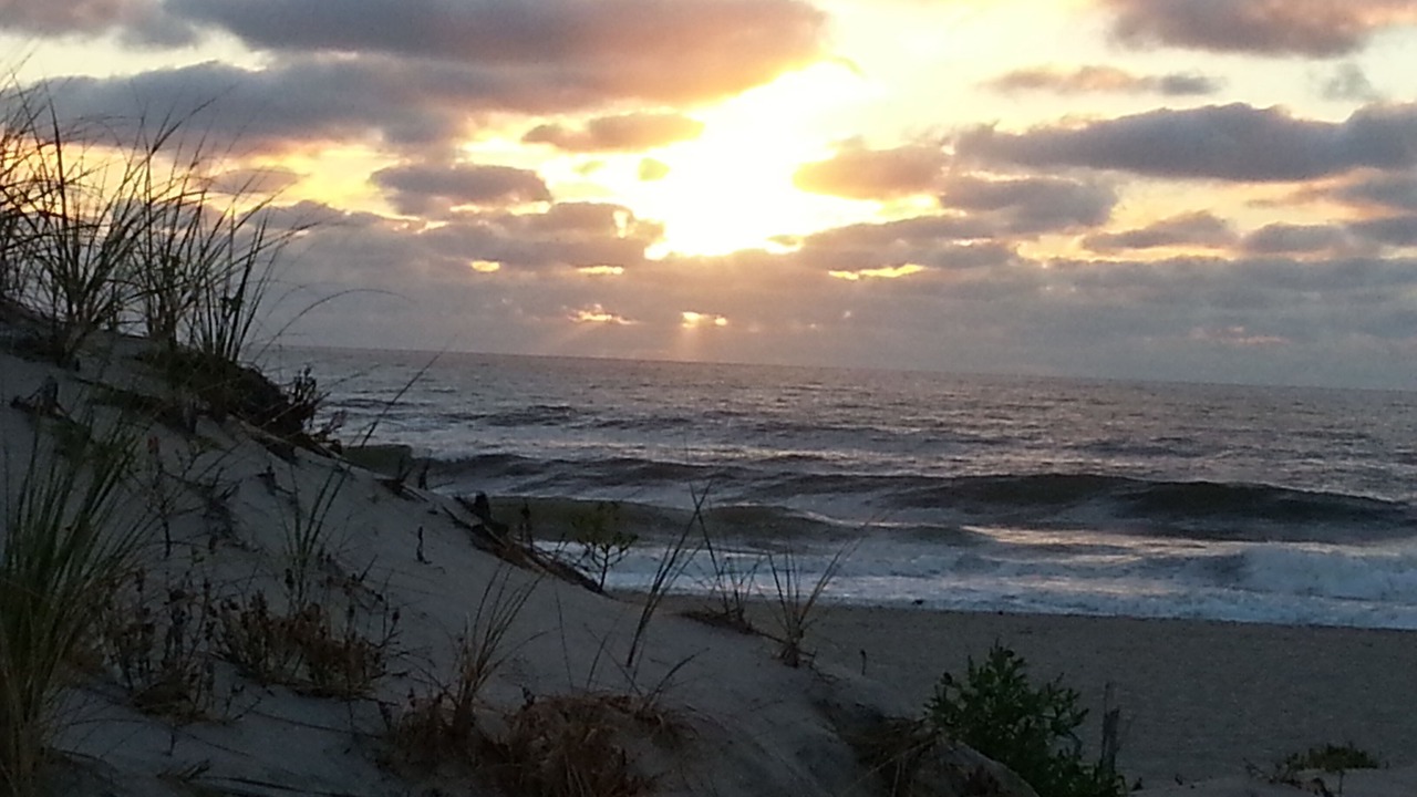 Photo of Others in Ortley Beach