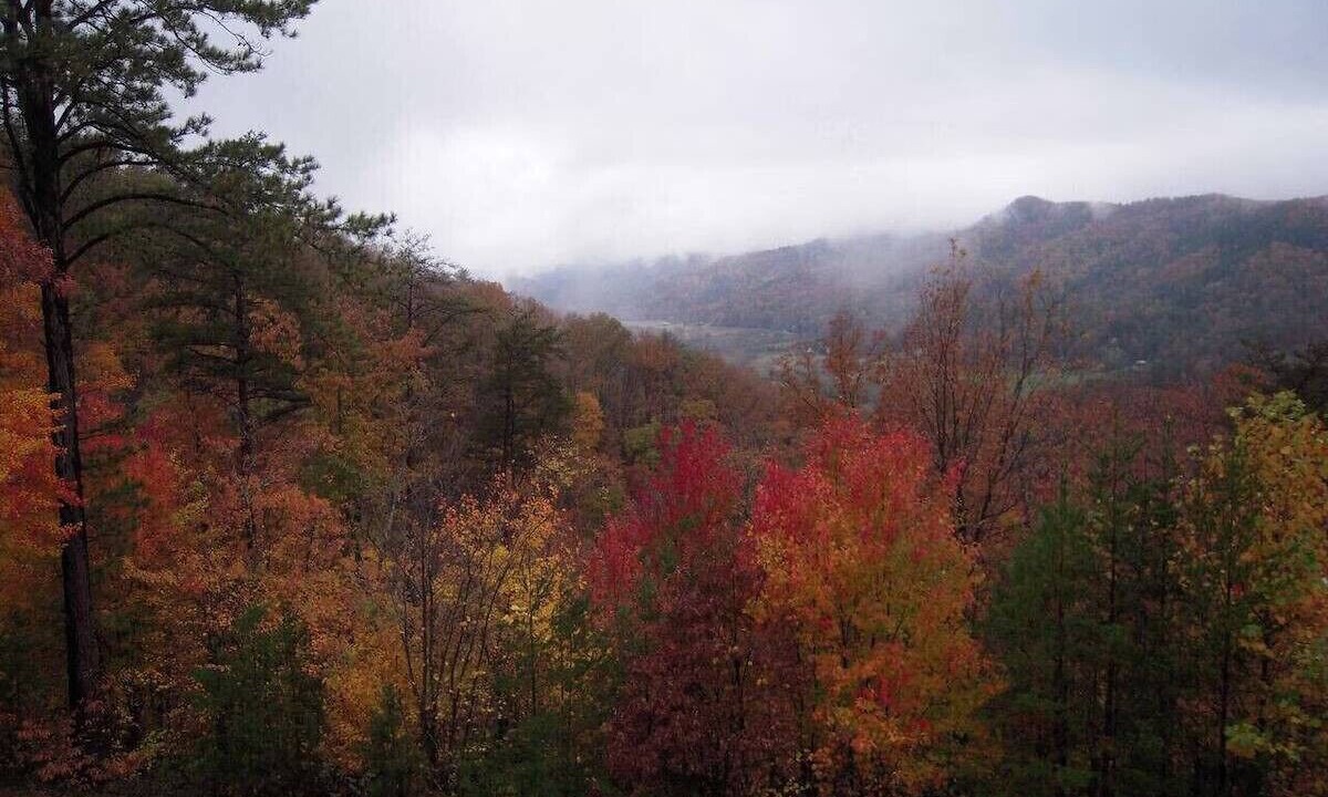 Photo of Others in Gatlinburg - Pigeon Forge