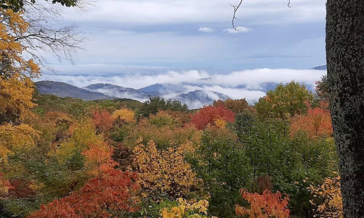 Photo of Others in Gatlinburg - Pigeon Forge