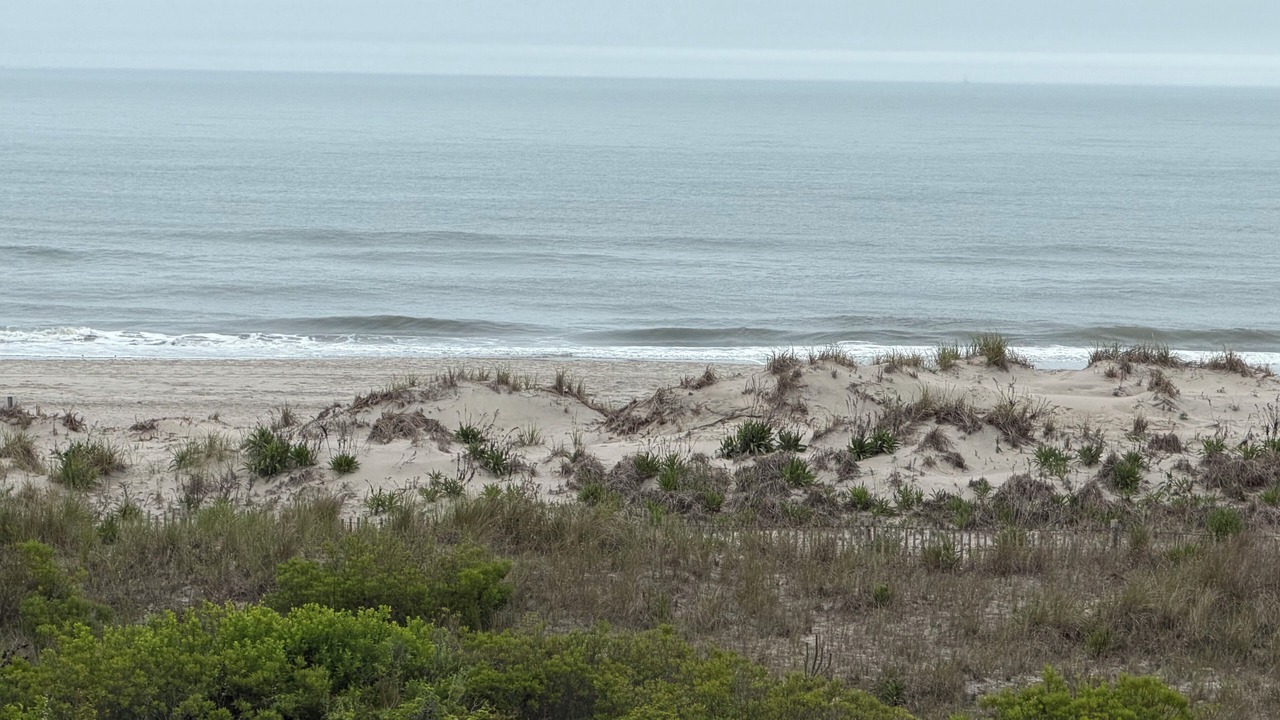 Photo of Others in Sea Isle City