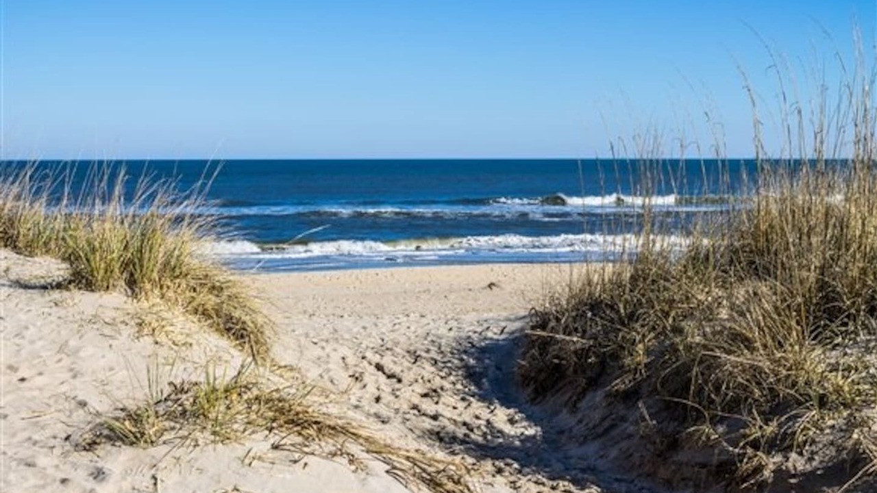 Photo of Others in Virginia Beach