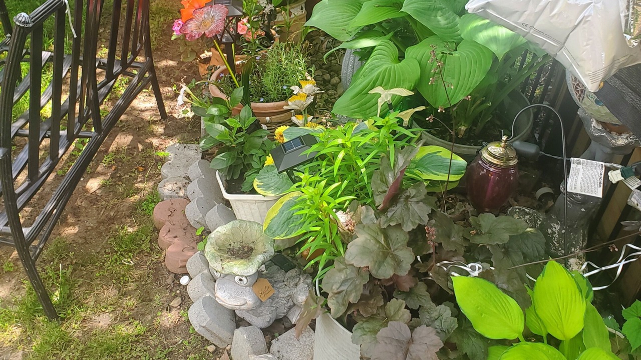 Photo of Outdoor in Rosebank
