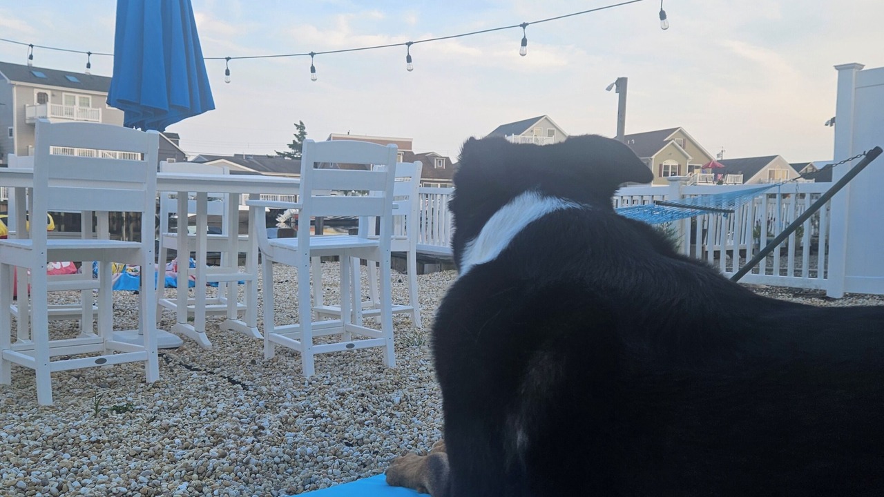 Photo of Outdoor in Mystic Island