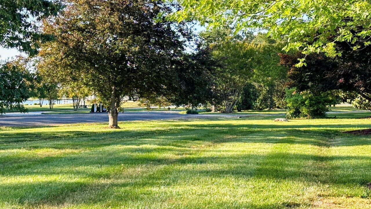 Photo of Others in Cambridge