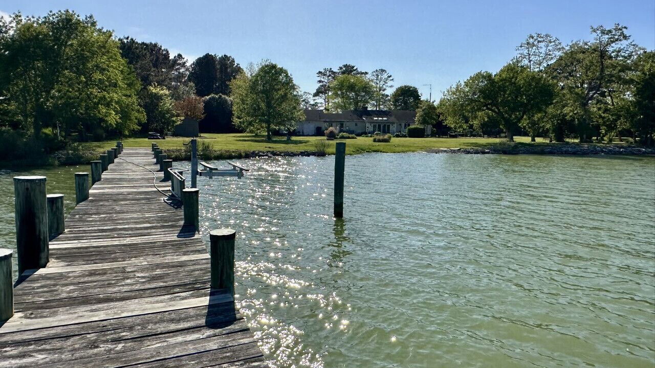 Photo of Outdoor in Cambridge