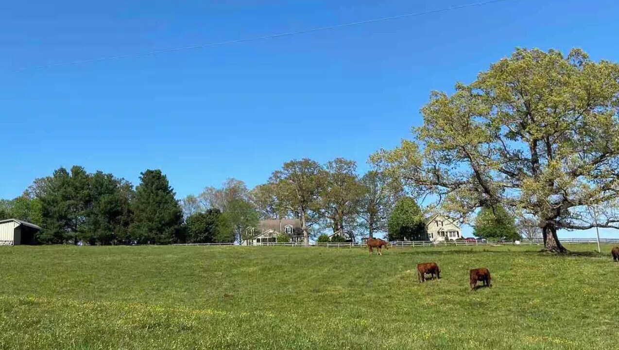Photo of Others in Scottsville