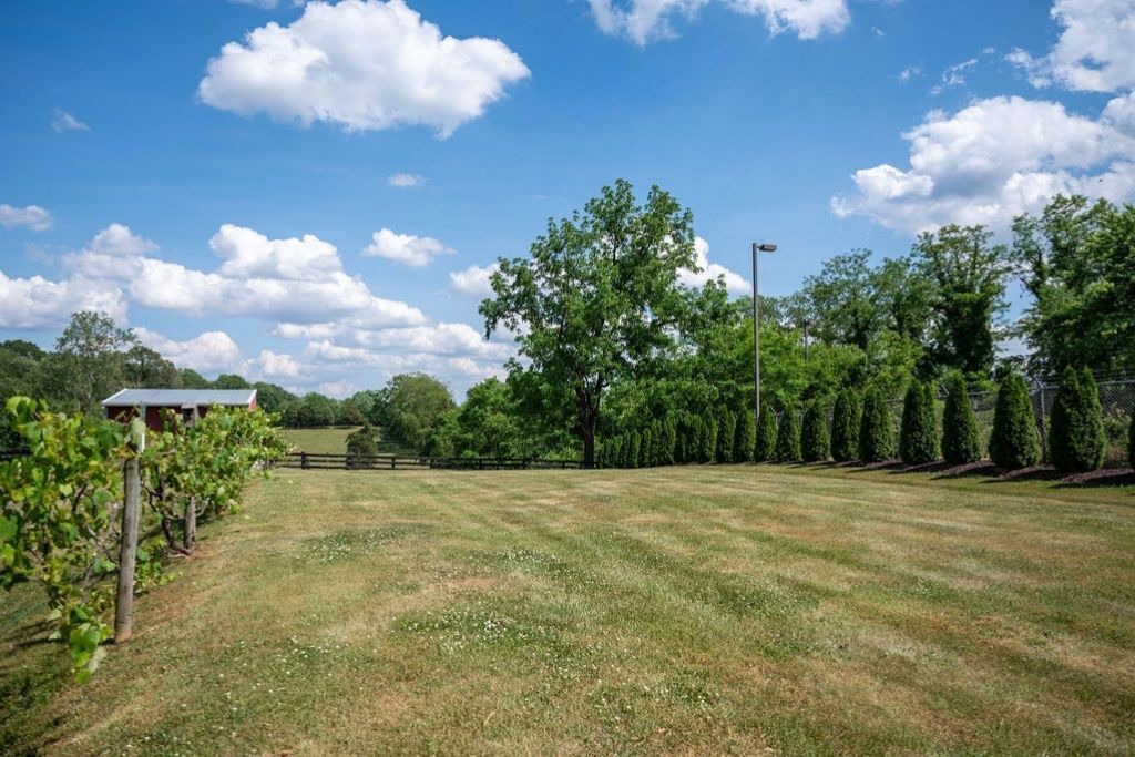 Photo of Outdoor in Madison