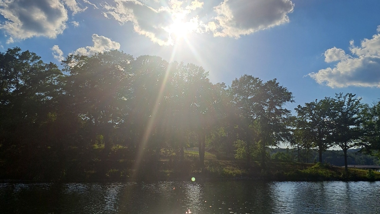 Photo of Others in Wedowee