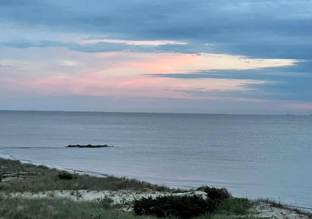 Photo of Others in North Cape May