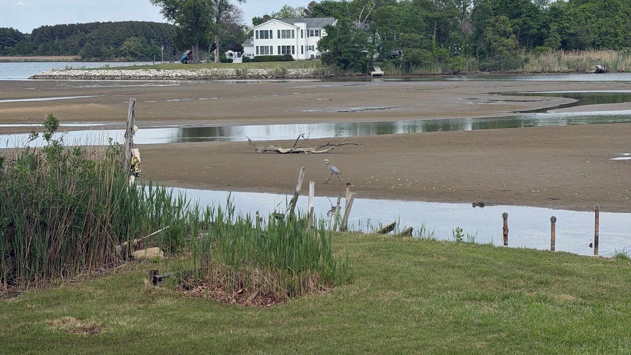 Photo of Others in Stevensville
