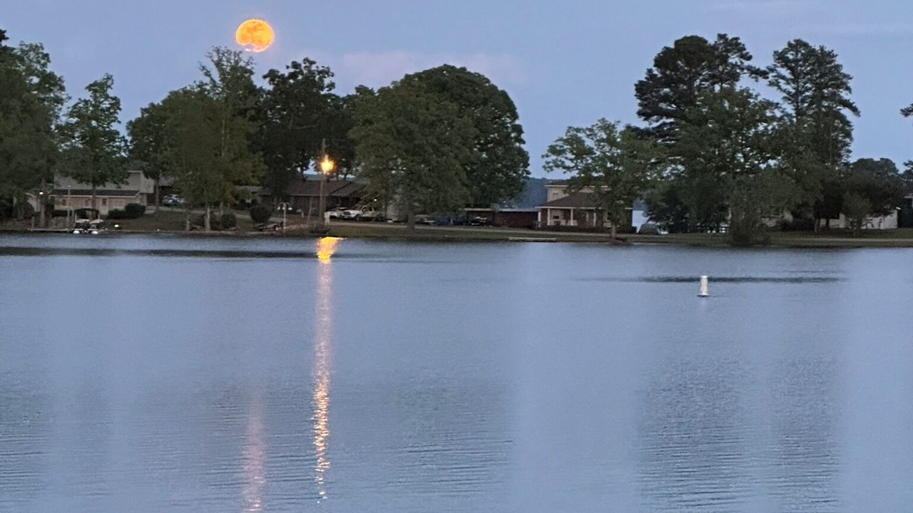 Photo of Others in Chapin