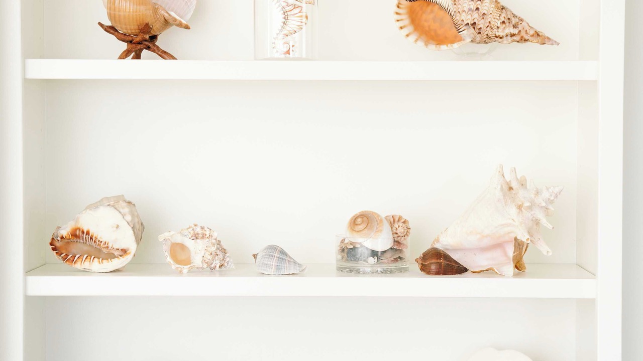 Photo of Others in Shell Island