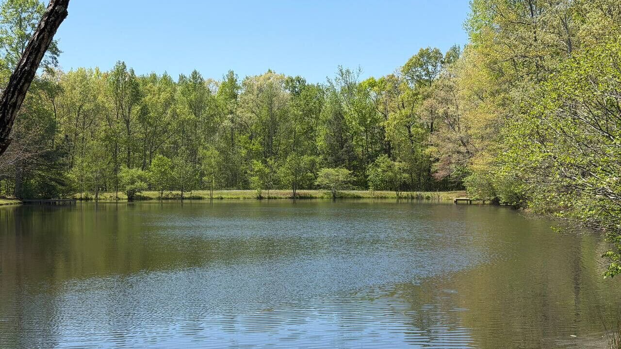 Photo of Others in Mentone