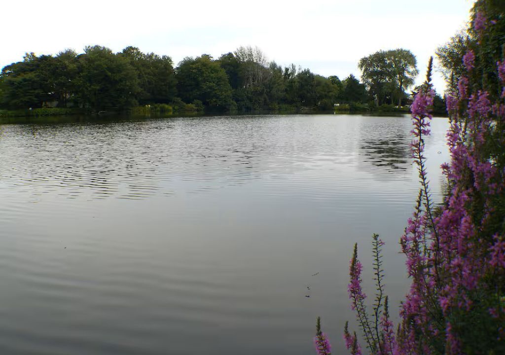 Photo of Others in Spring Lake