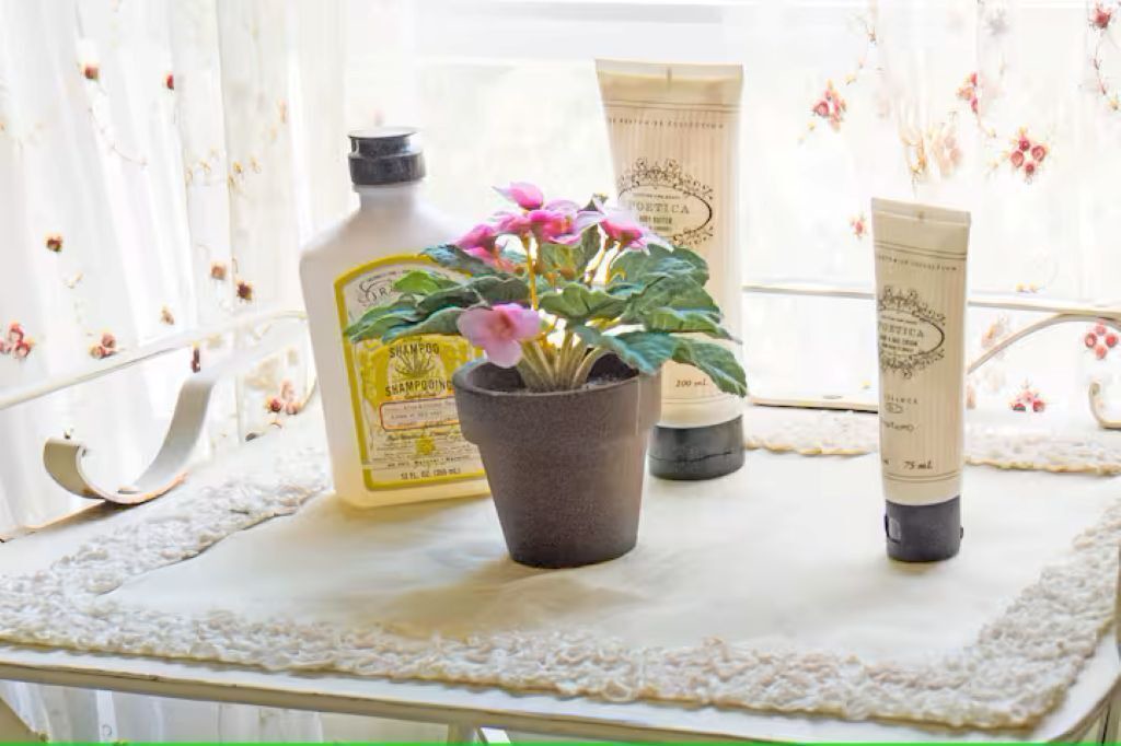 Photo of Bathroom in Spring Lake Heights