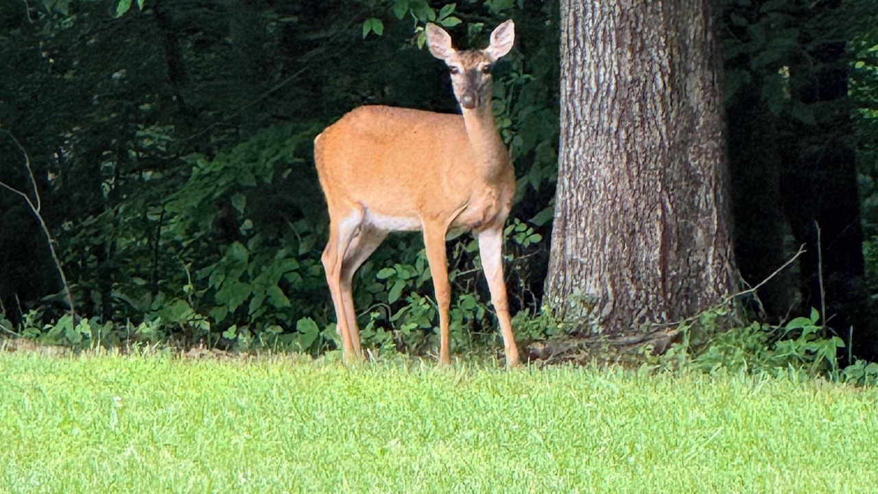 Photo of Others in Oakpark