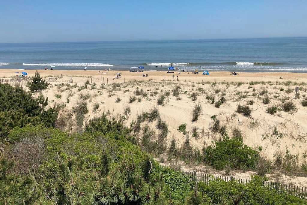 Photo of Others in Fenwick Island