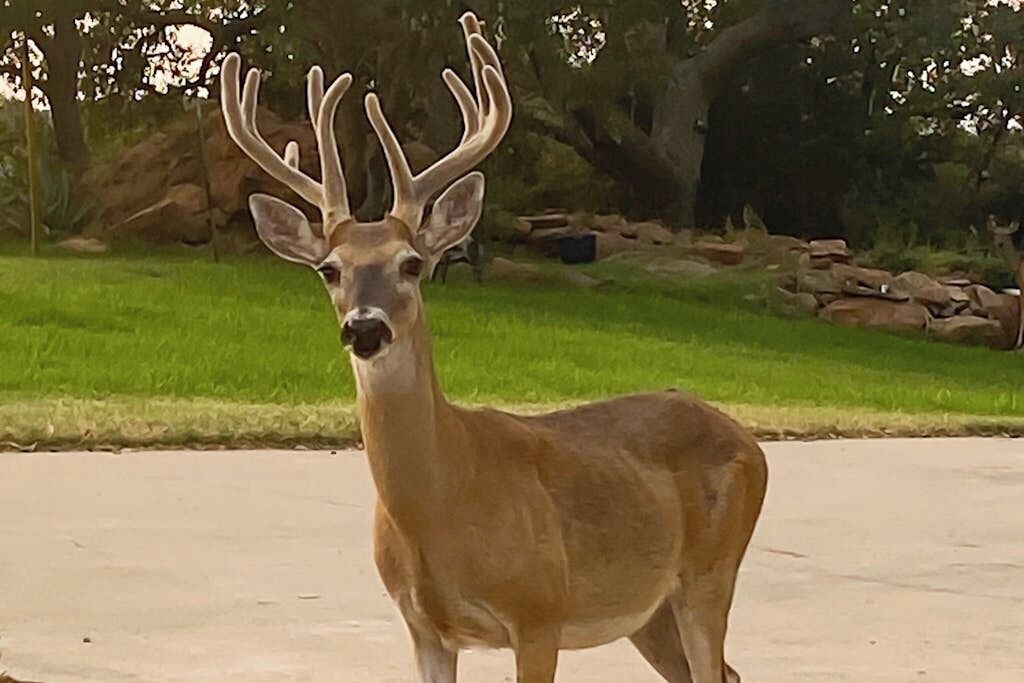 Photo of Others in Buchanan Dam