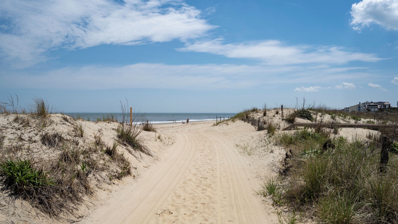 Photo of Others in Rehoboth by the Sea