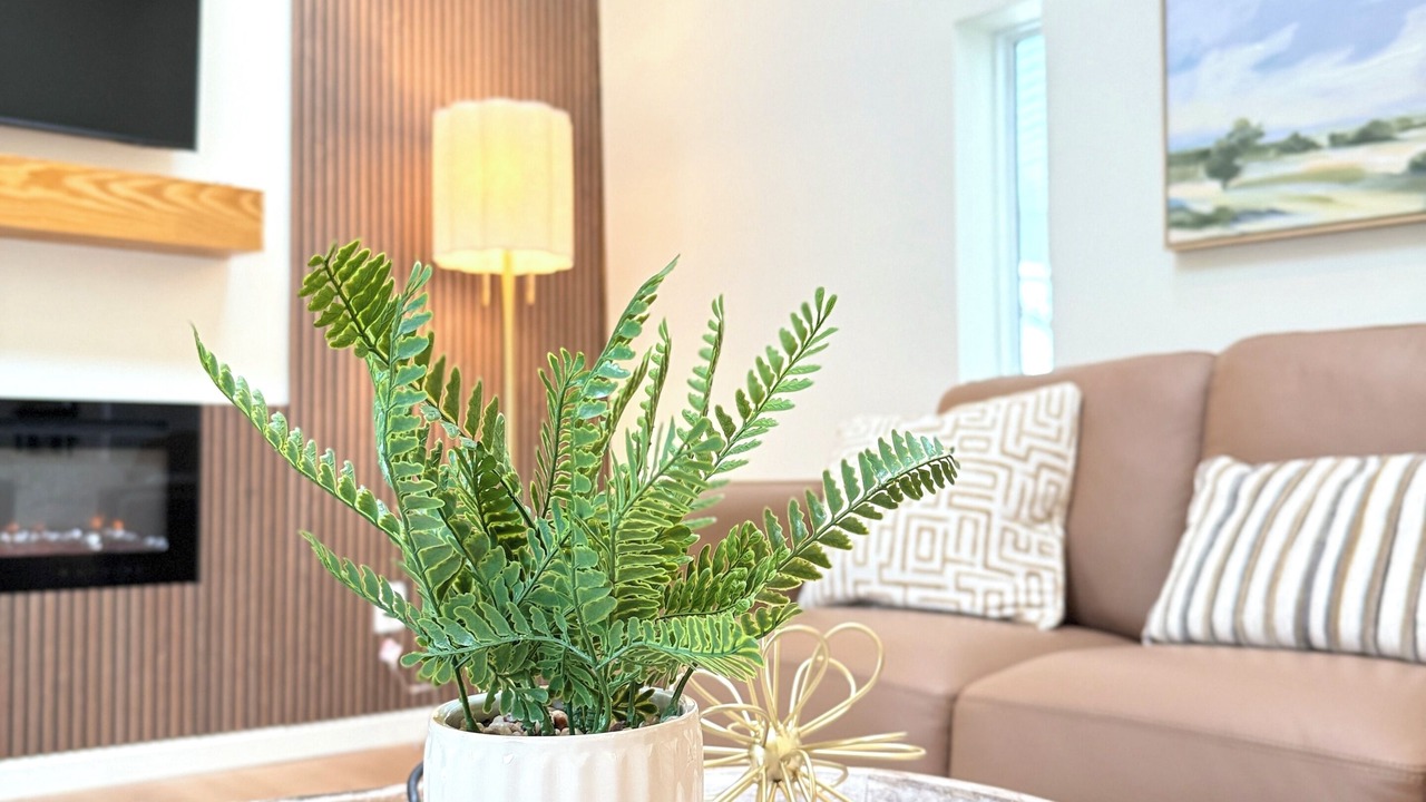 Photo of Livingroom in Campbelltown