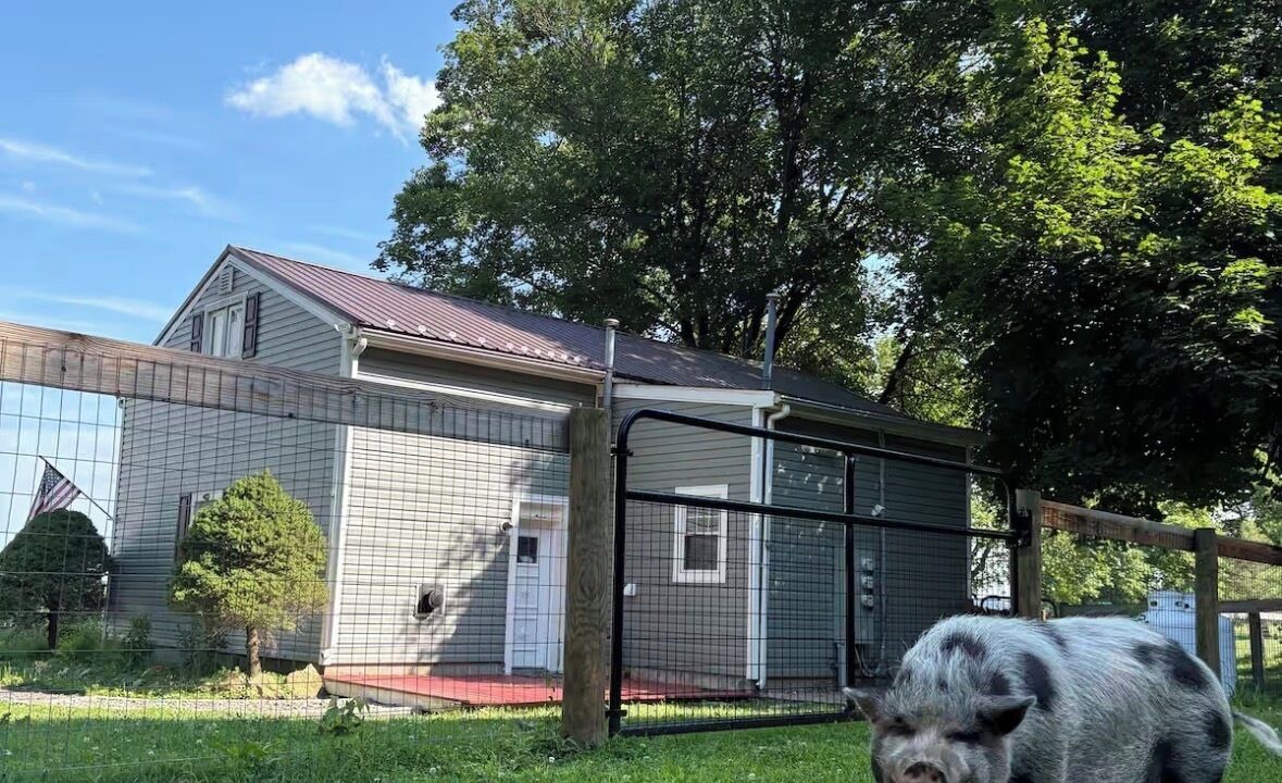 Photo of Outdoor in Kemblesville