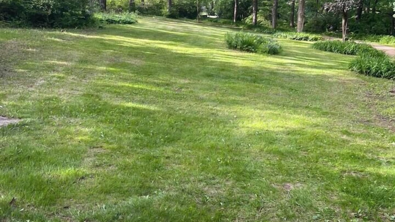 Photo of Others in Rockford