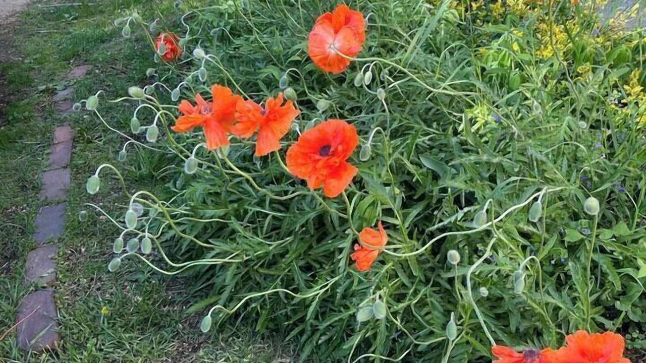 Photo of Outdoor in Rockford