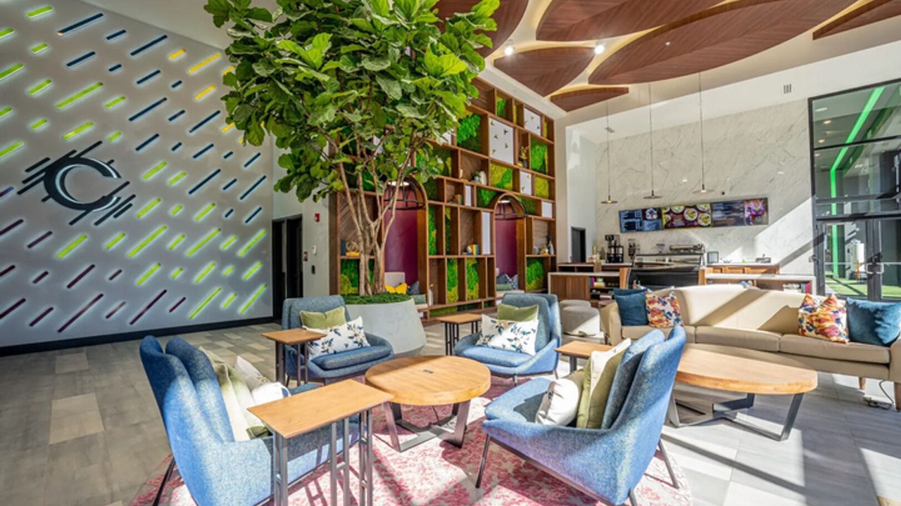 Photo of Livingroom in DeBaliviere Place