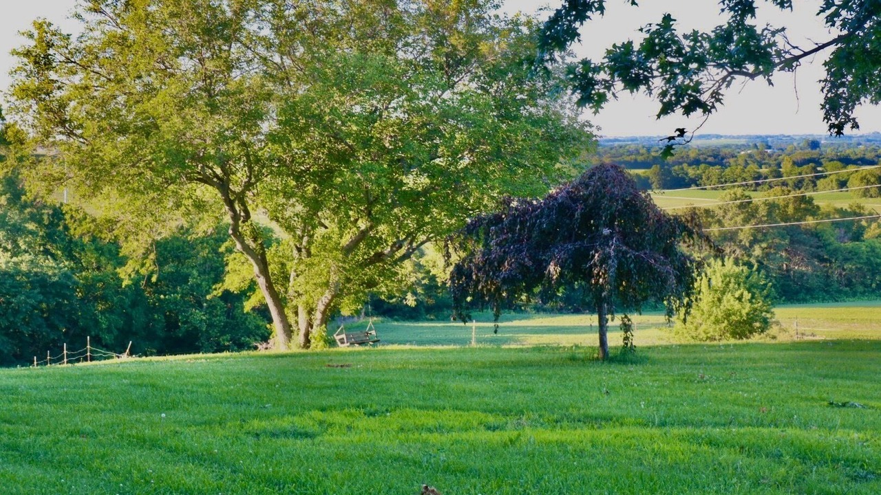 Photo of Others in Lafayette County