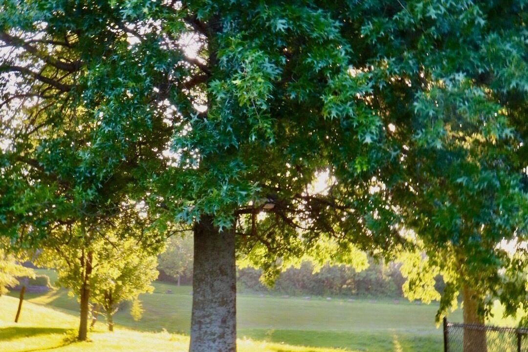 Photo of Outdoor in Lafayette County