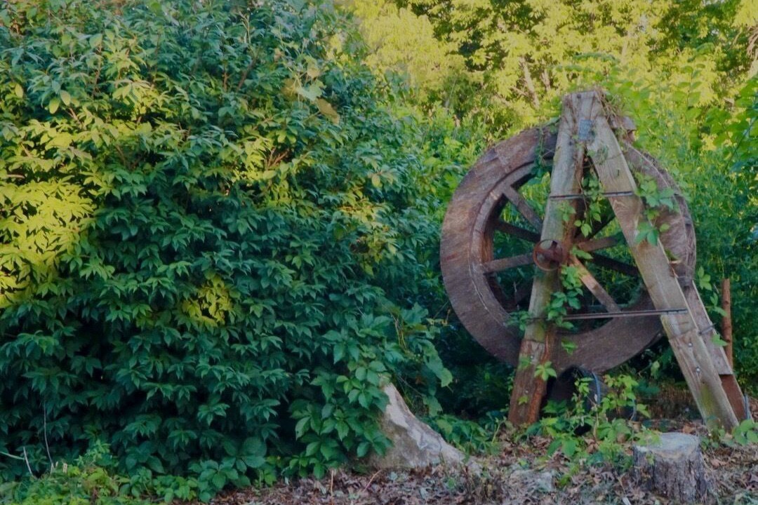 Photo of Others in Lafayette County