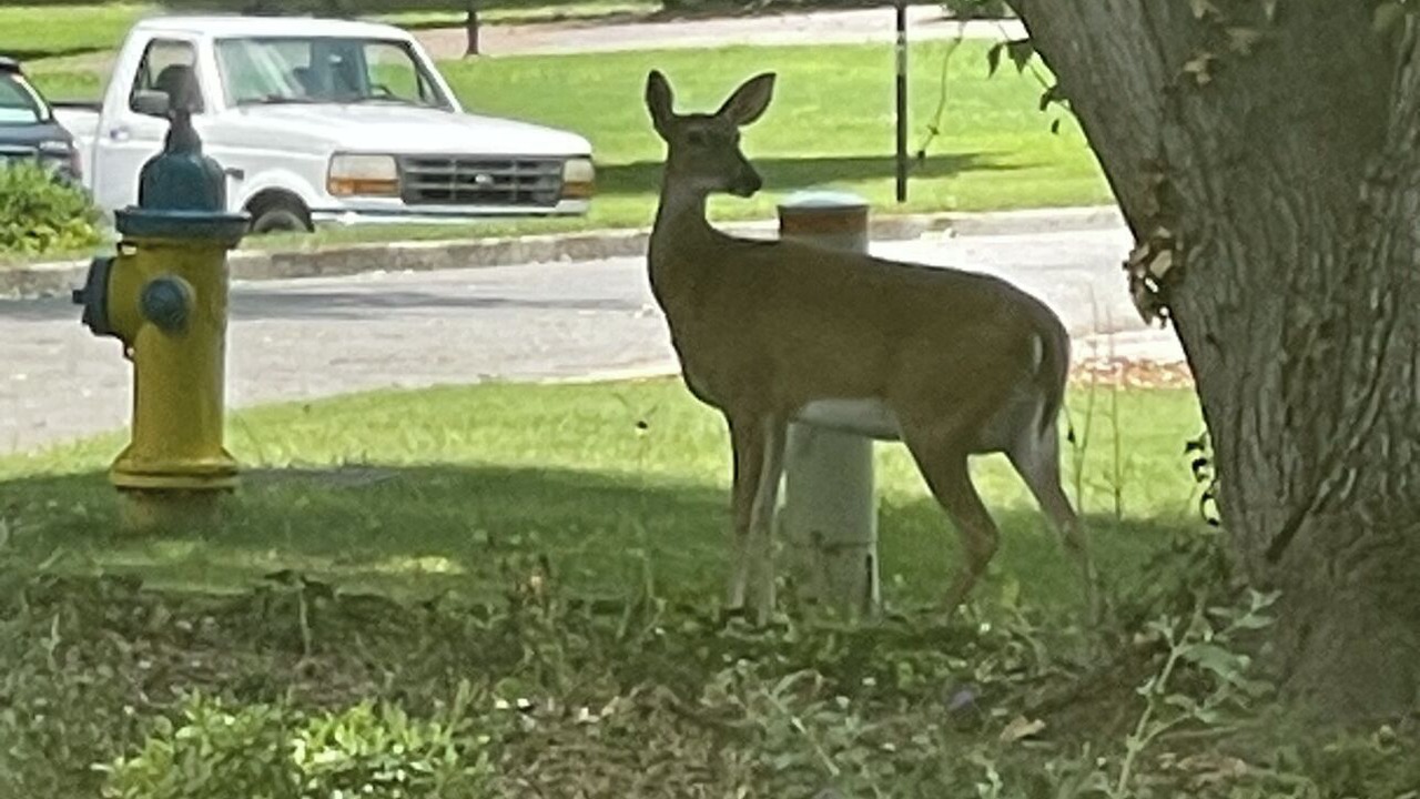 Photo of Outdoor in Cartersville