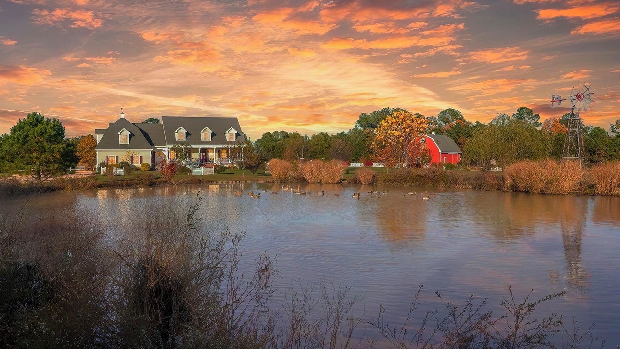 Photo of Outdoor in Cambridge