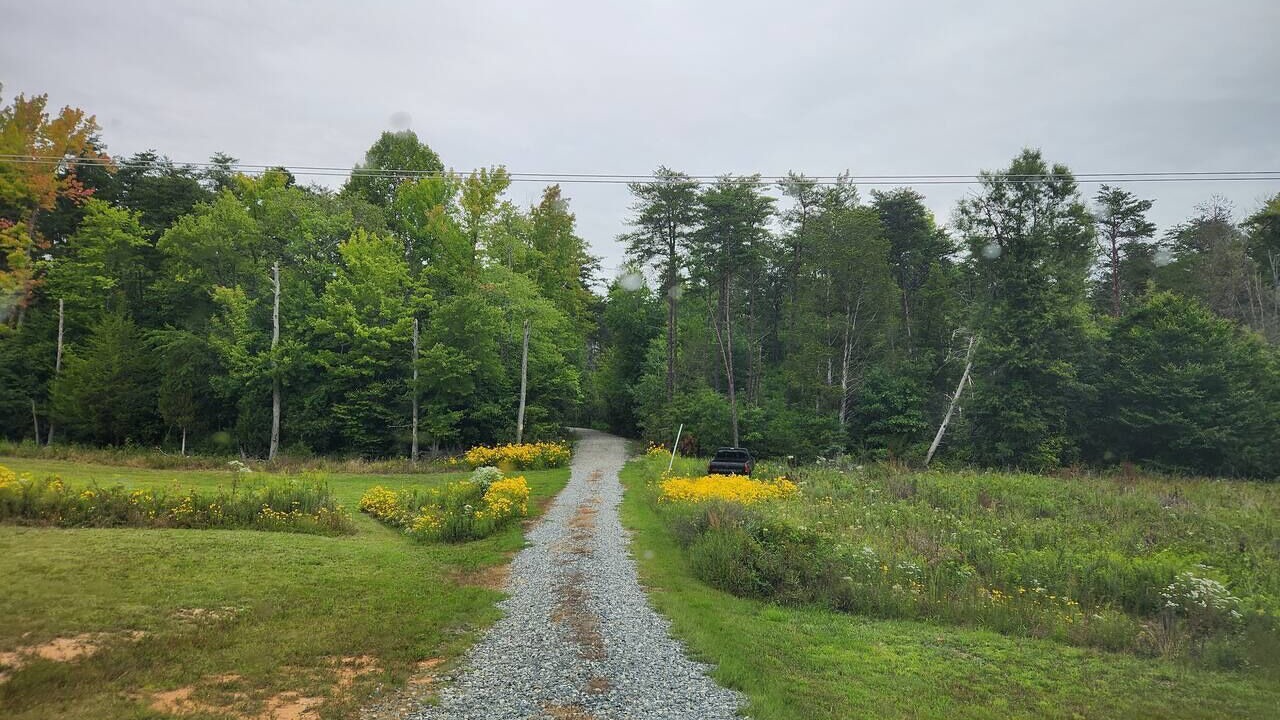 Photo of Others in Bumpass