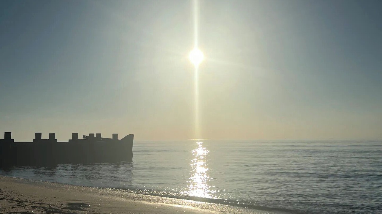 Photo of Others in North Cape May